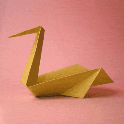 Pelican Origami Learning Following Directions