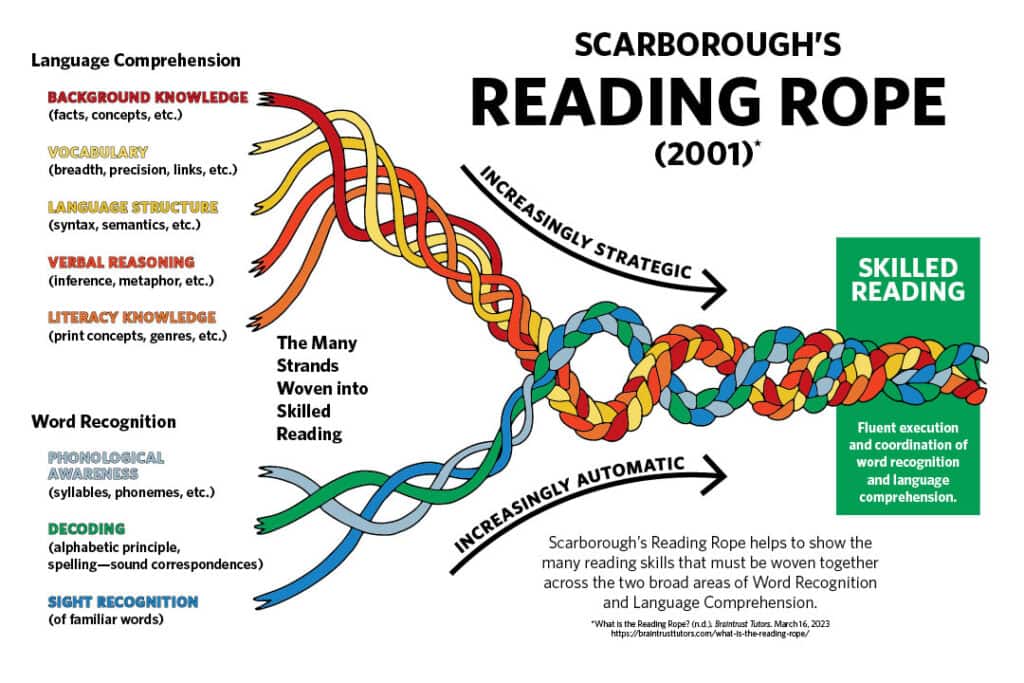 Colorful diagram of reading skills showing the components of skilled reading.